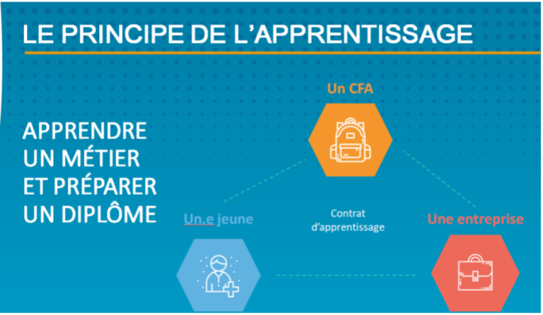Le principe de l’apprentissage : alternance entre CFA et entreprise.